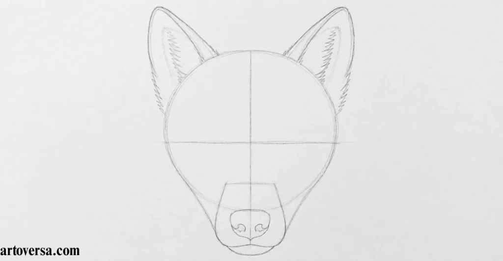 Shape the Wolf’s Ears