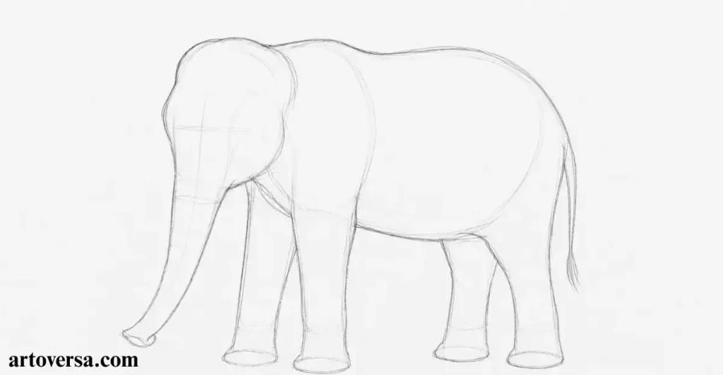 outline the Elephant's Body and Head