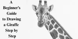 A Beginner’s Guide to Drawing a Giraffe Step by Step