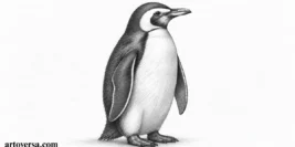 How to Draw a Realistic Penguin: Step-by-Step Guide for Beginners
