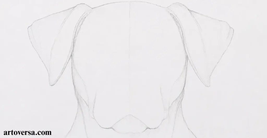 Basic Shape and Structure Sketching