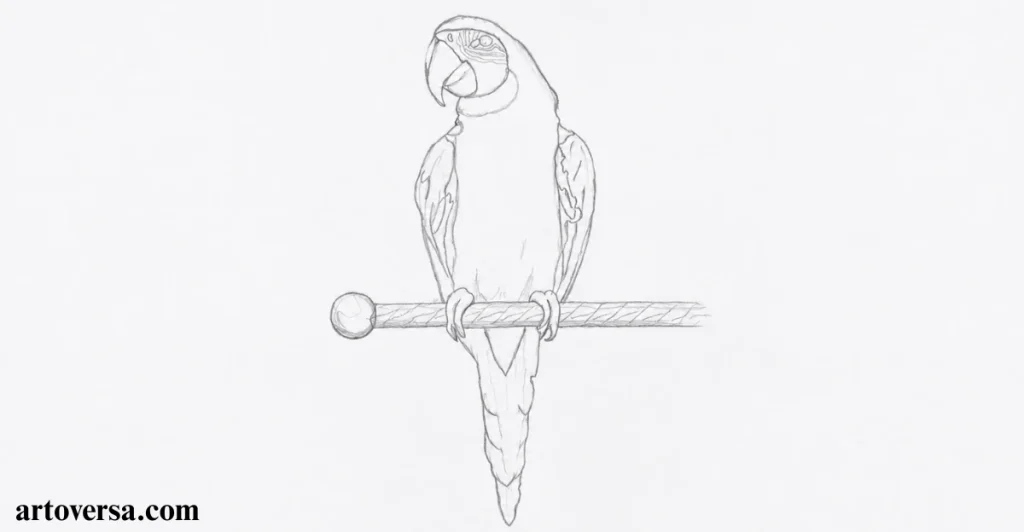 Sketching the Parrot