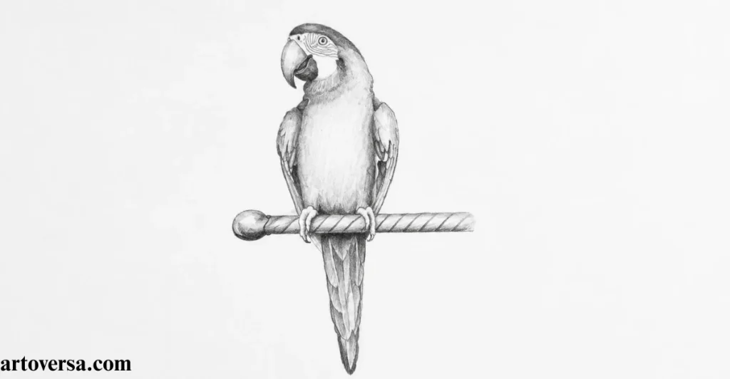 Basic Shading for Form and Volume