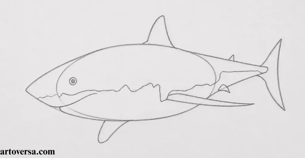 Draw a Line for the Gray Section and a Couple More Fins