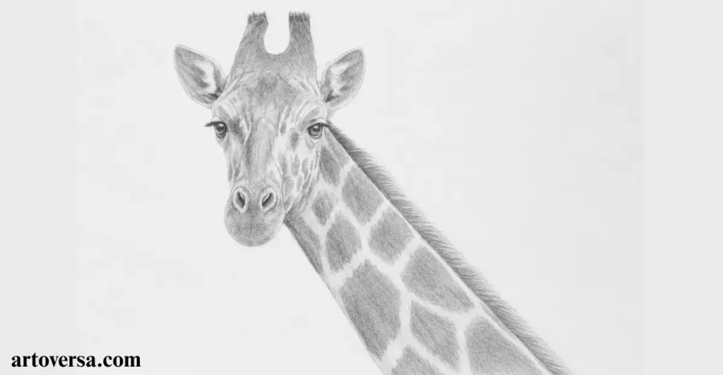 Basic Shading for Volume