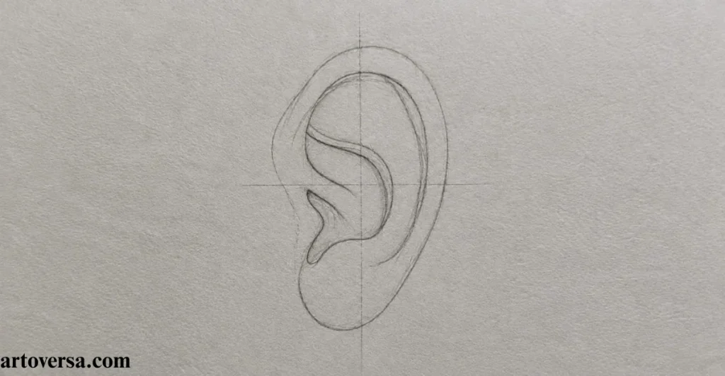 Make a Line Drawing Inside the Construction Lines