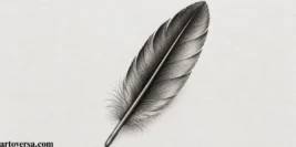 An Easy Tutorial for Drawing a Single Feather