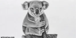 Drawing a Realistic Koala – How to Draw a Koala with Pencils