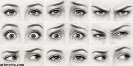 Eye Expressions Drawing: How to Draw 9 Common Emotions in the Eyes 