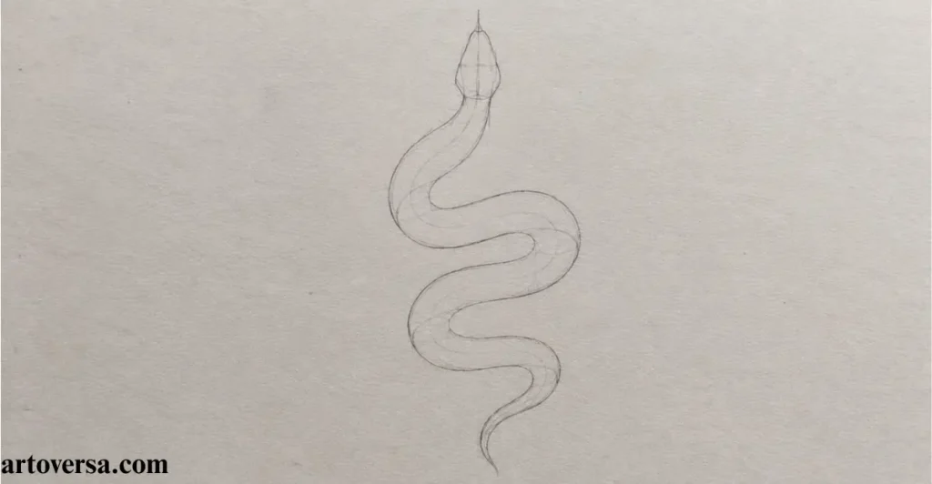 Sketch the Snake’s Head and Body