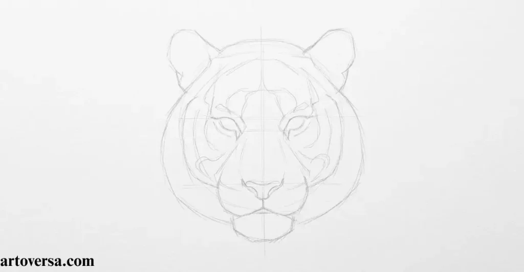 Make a Construction Line Drawing of the Overall Shape of the Tiger’s Head