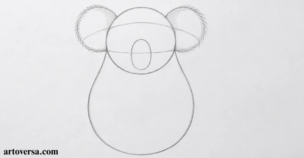 Draw the Basic Shapes