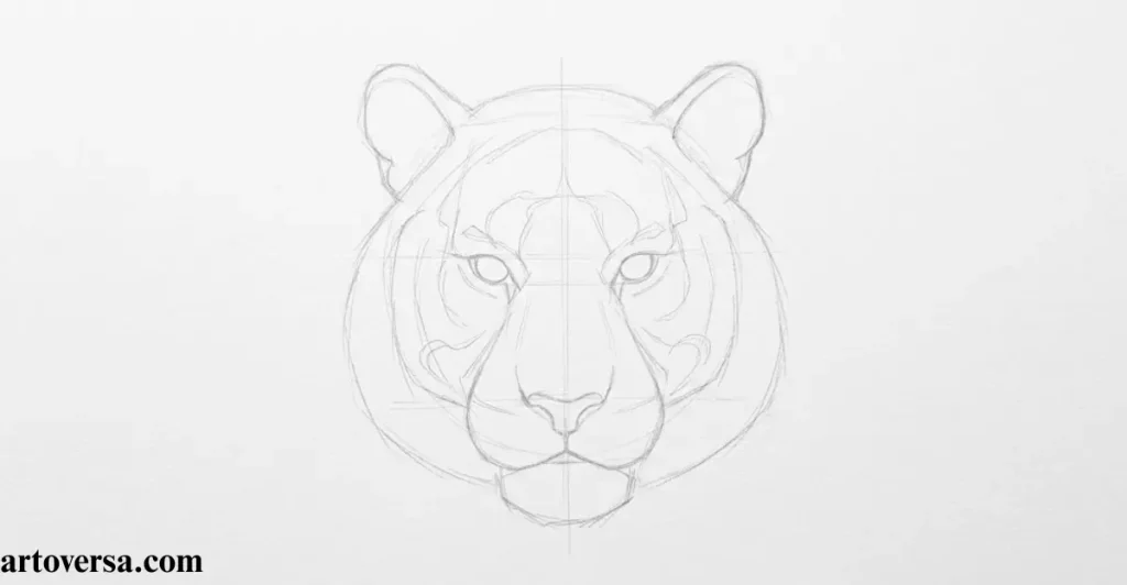 Facial Features Outline Drawing