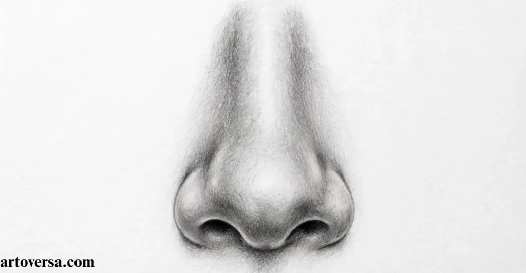 Shape the nose