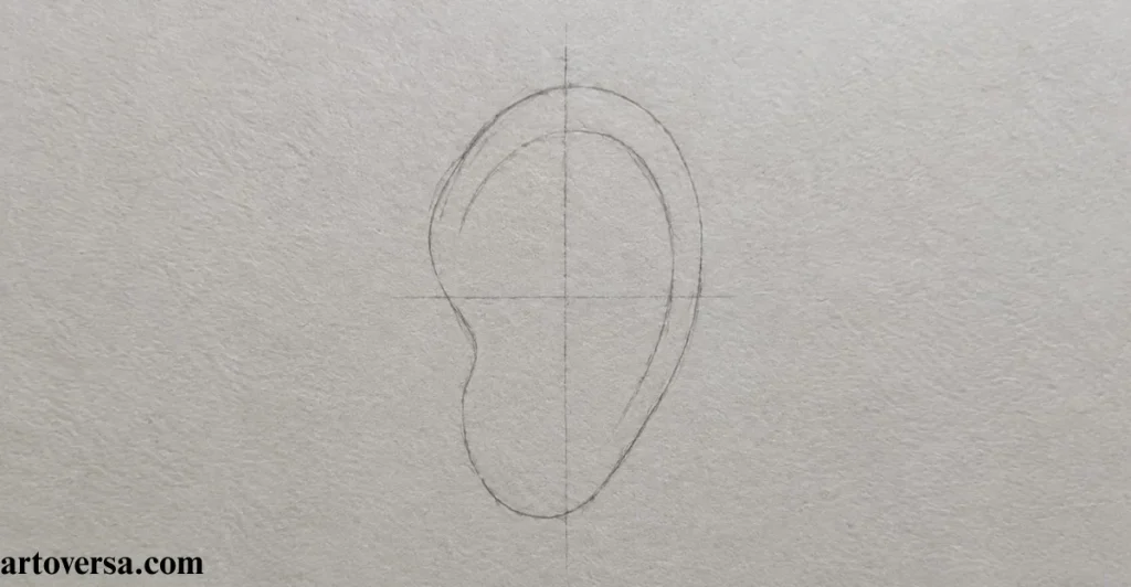 Make a Construction Line Drawing of the Outer Shape of the Ear