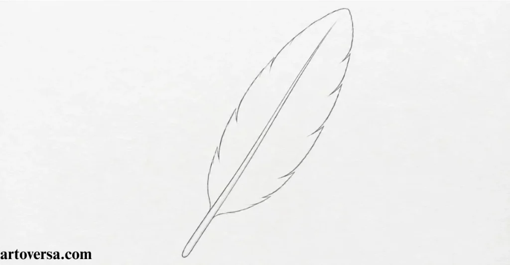 Outline the Overall Feather Shape (Vane)